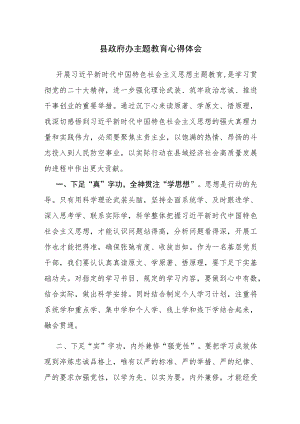 县政府办主题教育心得体会范文4篇.docx