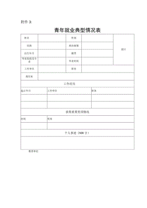 青年就业典型情况表.docx