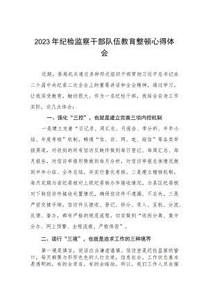 2023年全国纪检监察干部队伍教育整顿的心得体会八篇.docx