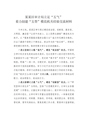 某某区审计局立足“五气”着力创建“五型”模范机关经验交流材料.docx
