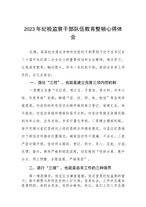 关于2023年纪检监察干部队伍教育整顿个人心得体会两篇.docx