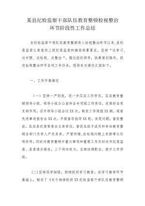 某县纪检监察干部队伍教育整顿检视整治环节阶段性工作总结.docx
