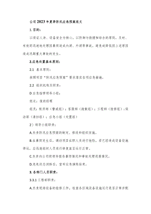 公司2023年夏季防汛应急预案范文.docx