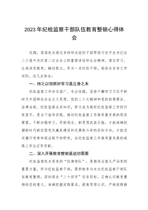 关于2023年纪检监察干部队伍教育整顿活动心得体会两篇.docx