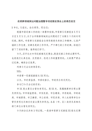 在殡葬领域突出问题治理暨专项巡察反馈会上的表态发言.docx