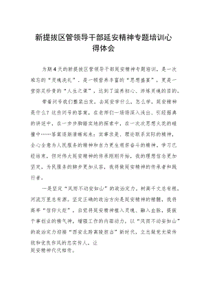 新提拔区管领导干部延安精神专题培训学习心得体会.docx