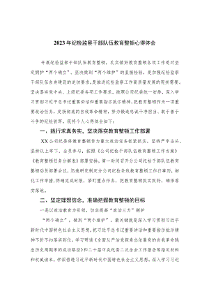 【2023纪检教育整顿】2023年纪检监察干部队伍教育整顿心得体会【四篇】汇编供参考.docx