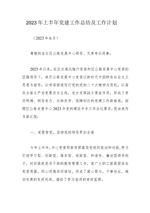 2023年上半年党建工作总结及工作计划.docx