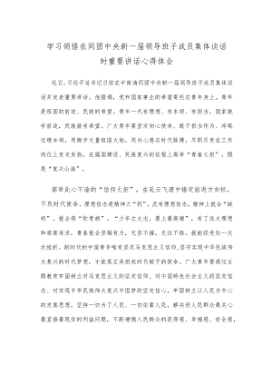 学习领悟在同团中央新一届领导班子成员集体谈话时重要讲话心得体会.docx