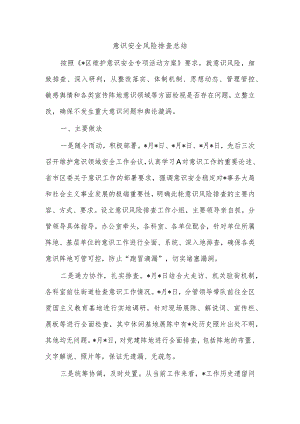 意识安全风险排查总结.docx