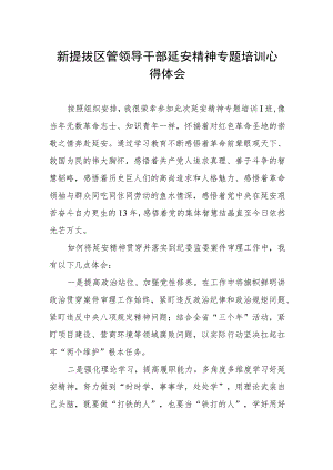 新提拔区管领导干部延安精神专题培训学习体会.docx
