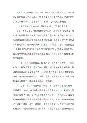 在全县2023年安全生产、应急管理、防灾减灾、森林防灭火工作会议上的讲话提纲.docx