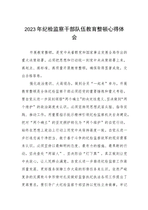 2023年纪检监察干部队伍教育整顿活动心得体会发言稿两篇.docx