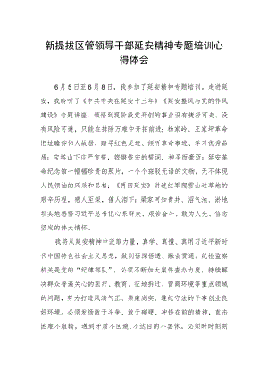 2023年参加新提拔区管领导干部延安精神专题培训心得体会.docx
