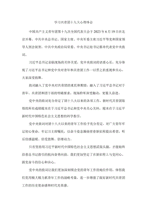 学习共青团十九大精神感悟01.docx