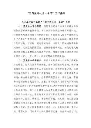 “三自主两公开一承诺”工作指南.docx