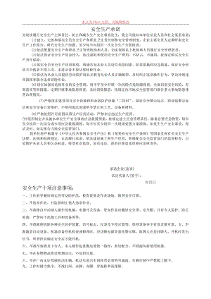 安全生产承诺标准模板.docx