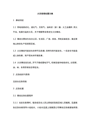 火灾现场处置方案全.docx