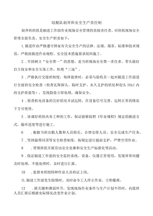 综掘队剁斧班安全生产责任制.docx