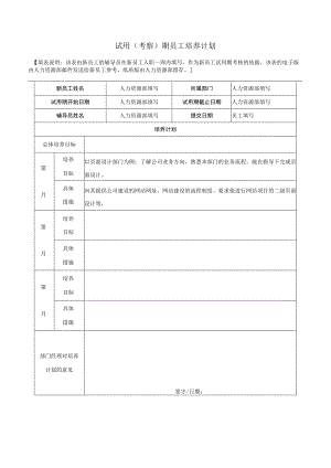试用（考察）期员工培养计划.docx