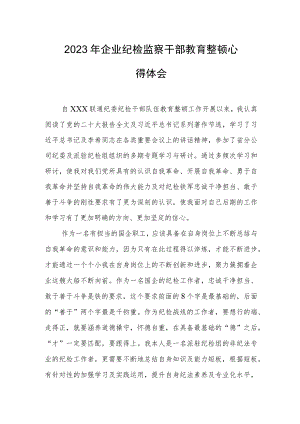 2023年企业纪检监察干部教育整顿心得体会.docx