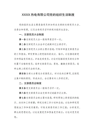 热电有限公司党的组织生活制度.docx