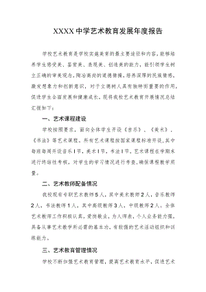 中学艺术教育发展年度报告.docx