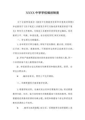 中学学校编班制度.docx
