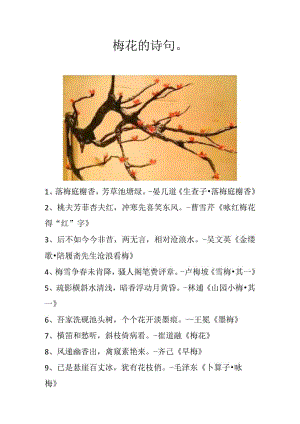 梅花的诗句.docx