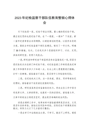 2023年全国纪检监察干部队伍教育整顿活动心得感悟范文两篇.docx