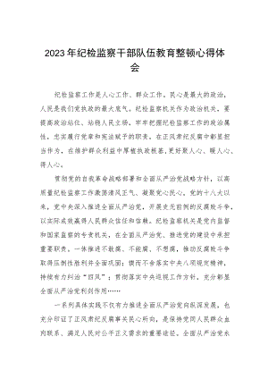 2023全国纪检监察干部队伍教育整顿心得体会两篇.docx
