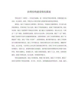 治理结构建设情况描述.docx