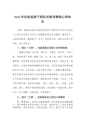 2023年全国纪检监察干部队伍教育整顿活动心得感悟模板两篇.docx