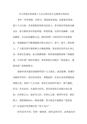 研究生学习贯彻共青团第十九次全国代表大会精神个人心得体会 合计4份.docx