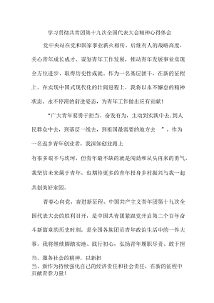 入党积极分子学习贯彻共青团第十九次全国代表大会精神个人心得体会 四篇.docx