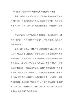 青年干部学习贯彻共青团第十九次全国代表大会精神心得体会 合计4份.docx