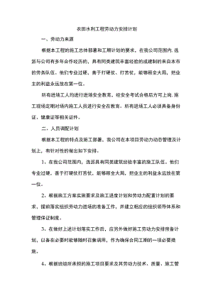 农田水利工程劳动力安排计划.docx