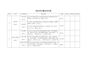 综合评分量化评分表.docx