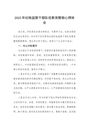 2023年纪检监察干部队伍教育整顿心得体会感悟两篇例文.docx