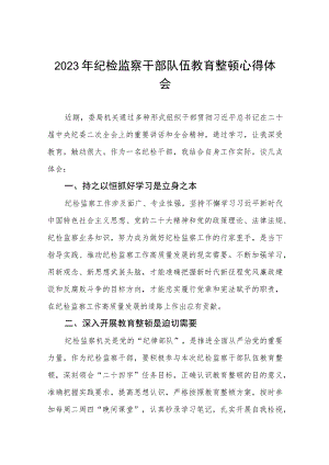 2023年纪检监察干部队伍教育整顿活动学习体会两篇合集.docx