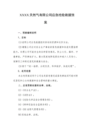 天然气有限公司应急抢险救援预案.docx