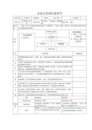 医院企划主管岗位说明书.docx