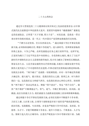 二十大心得体会4篇精选.docx