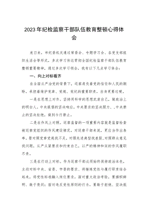 2023纪检监察干部队伍教育整顿心得体会感悟2篇.docx