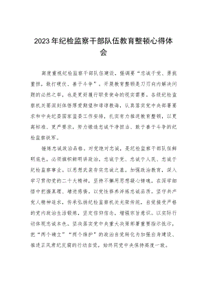 2023纪检监察干部队伍教育整顿心得体会模板两篇模板.docx