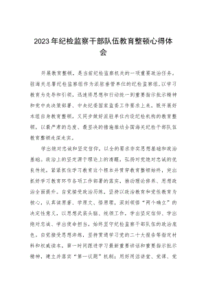 “2023年纪检监察干部队伍教育整顿”心得体会八篇.docx