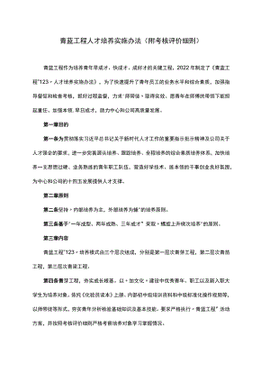 青蓝工程人才培养实施办法(附考核评价细则).docx
