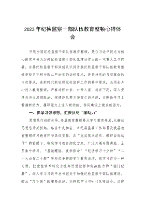 2023年纪检监察干部队伍教育整顿活动学习体会最新精品6篇.docx