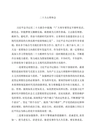 二十大心得体会精选(四篇)样本.docx