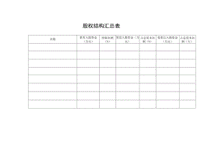股权结构汇总表.docx